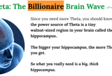 billionaire brain wave reviews